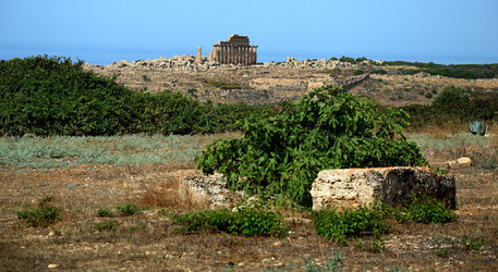 SELINUNTE il sito e parco archeologico. Fotografie di Giulio Azzarello &copy;2014.