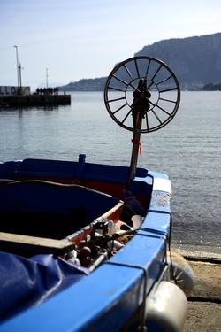 FEBBRAIO Fotografie di Giulio Azzarello &copy;2022.