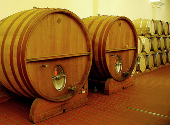 BOTTI per il vino. Fotografie di Giulio Azzarello ©2016. BOTTI per il vino. Fotografie di Giulio Azzarello ©2016.