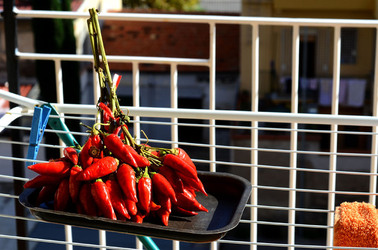 PEPERONCINO fotografie di Giulio Azzarello ©2014. PEPERONCINO fotografie di Giulio Azzarello ©2014.