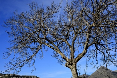 CAMPAGNA fotografie di Giulio Azzarello ©2020.