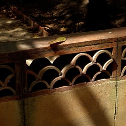 ORTO BOTANICO. Fotografie di Giulio Azzarello &copy;2024.