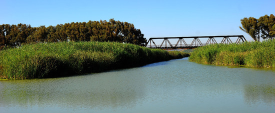 CANNETI in SICILIA. Fotografie di Giulio Azzarello &copy;2016.