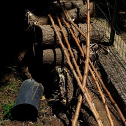 GIARDINO SICILIANO. Fotografie di Giulio Azzarello ©2022. GIARDINO SICILIANO. Fotografie di Giulio Azzarello ©2022.