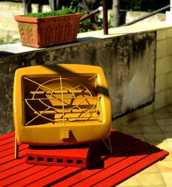 NATURE MIORTE DIPINTE fotografie di Giulio Azzarello &copy;2022.