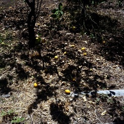 FOTO QUADRATE 6X6. Fotografie di Giulio Azzarello ©2021. FOTO QUADRATE 6X6. Fotografie di Giulio Azzarello ©2021.