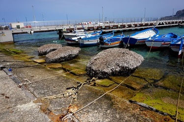 MONDELLO. Fotografie di Giulio Azzarello &copy;2023.