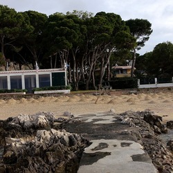 PINETA. Fotografie di Giulio Azzarello &copy;2022.