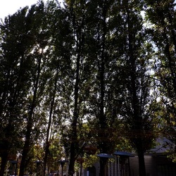 ROMA fotografie di Giulio Azzarello &copy;2022.