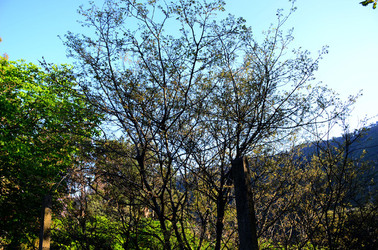 GOLE DELL ALCANTARA in Sicilia. Fotografie di Giulio Azzarello &copy;2016.