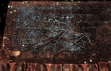 DIGITALIZZAZIONI fotografie di Giulio Azzarello &copy;2020.