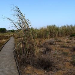 SELINUNTE. Fotografie di Giulio Azzarello ©2022. SELINUNTE. Fotografie di Giulio Azzarello ©2022.