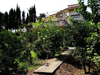 HABITAT NATURA in campagna. Fotografie di Giulio Azzarello ©2015 2016. HABITAT NATURA in campagna. Fotografie di Giulio Azzarello ©2015 2016.