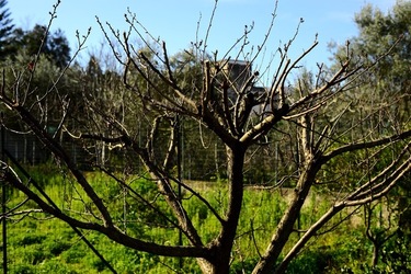 CAMPAGNA fotografie di Giulio Azzarello ©2020.