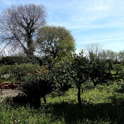 PIANTE. Fotografie di Giulio Azzarello &copy;2022.