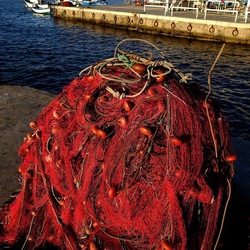 RETI DA PESCA. Fotografie di Giulio Azzarello &copy;2022.