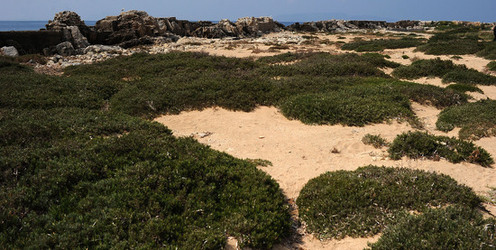 LA COLOMBAIA di Trapani riapertura curata dal FAI. Fotografie di Giulio Azzarello &copy;2014.