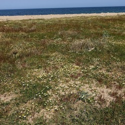 BARCHE. Fotografie di Giulio Azzarello &copy;2022.