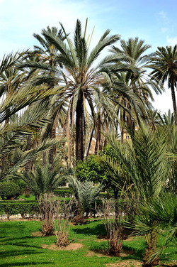 VILLA BONANNO a Palermo. Fotografie di Giulio Azzarello &copy;2016.