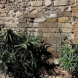 Arabo Normanno. Fotografie di Giulio Azzarello ©2024. Arabo Normanno. Fotografie di Giulio Azzarello ©2024.