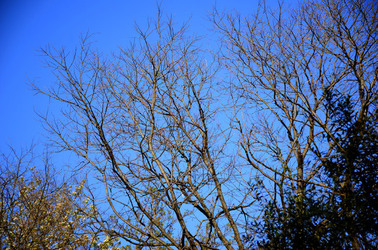 GOLE DELL ALCANTARA in Sicilia. Fotografie di Giulio Azzarello &copy;2016.