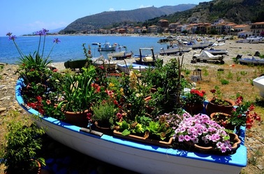 BARCHE da PESCA fotografie di Giulio Azzarello © 2019. BARCHE da PESCA fotografie di Giulio Azzarello © 2019.