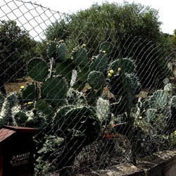CAMMINANDO. Fotografie di Giulio Azzarello &copy;2024.