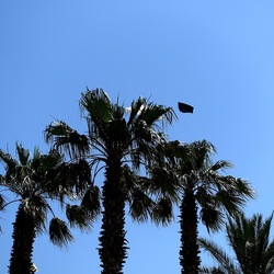 SAN VITO LO CAPO. Fotografie di Giulio Azzarello &copy;2023.