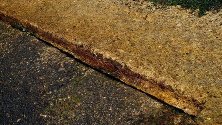 BAIA DEL CORALLO. Fotografie di Giulio Azzarello &copy;2022.