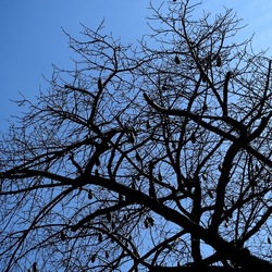 Arabo Normanno. Fotografie di Giulio Azzarello ©2024. Arabo Normanno. Fotografie di Giulio Azzarello ©2024.