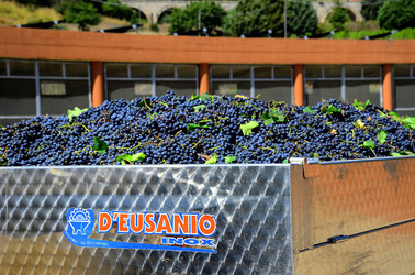 AZIENDA VITIVINICOLA in Sicilia. Fotografie di Giulio Azzarello ©2016. AZIENDA VITIVINICOLA in Sicilia. Fotografie di Giulio Azzarello ©2016.