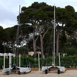 PINETA. Fotografie di Giulio Azzarello &copy;2022.