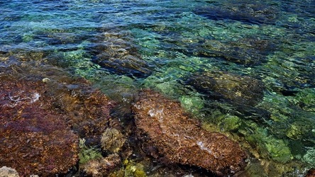 BAIA DEL CORALLO. Fotografie di Giulio Azzarello &copy;2022.
