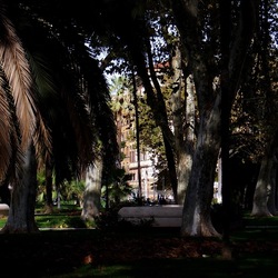 ROMA fotografie di Giulio Azzarello &copy;2022.