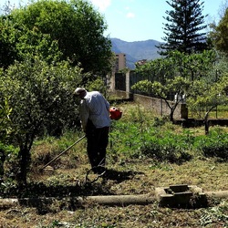 GIARDINO SICILIANO. Fotografie di Giulio Azzarello &copy;2024.