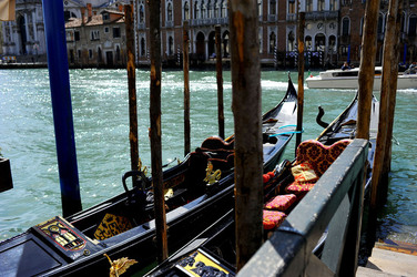 LUNGOMARE di VENEZIA. Fotografie di Giulio Azzarello &copy;2016.