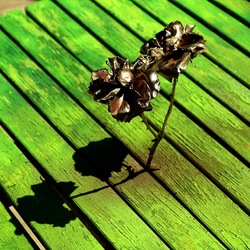 METALLICO. Fotografia di Giulio Azzarello &copy;2023.