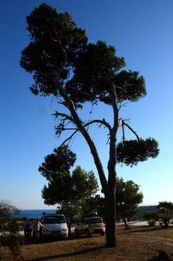 SELINUNTE il sito e parco archeologico. Fotografie di Giulio Azzarello &copy;2014.