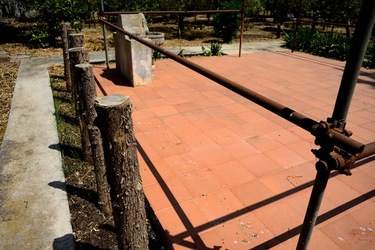 GIARDINO fotografie di Giulio Azzarello ©2019. GIARDINO fotografie di Giulio Azzarello ©2019.