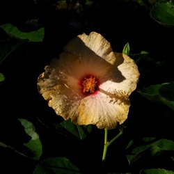 AUTUNNO fotografie di Giulio Azzarello ©2021. AUTUNNO fotografie di Giulio Azzarello ©2021.