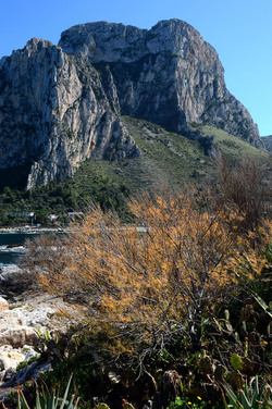 CAPO GALLO riserva marina e naturalistica a Palermo panoramiche e particolari. Fotografie di Giulio Azzarello ©2014. CAPO GALLO riserva marina e naturalistica a Palermo panoramiche e particolari. Fotografie di Giulio Azzarello ©2014.