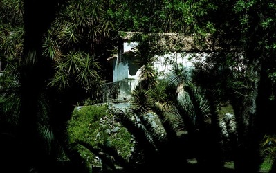 ORTO BOTANICO di Palermo. Fotografie di Giulio Azzarello ©2021.