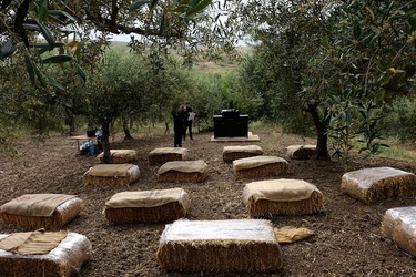 ULIVETO SICILIANO. Fotografie di Giulio Azzarello ©2022.