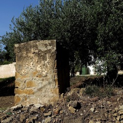 SELINUNTE. Fotografie di Giulio Azzarello ©2022. SELINUNTE. Fotografie di Giulio Azzarello ©2022.