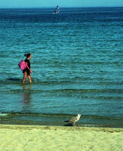 PALERMO fotografie di Giulio Azzarello ©2020.