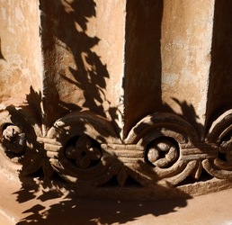 ORTO BOTANICO di PALERMO. Fotografie di Giulio Azzarello ©2019.