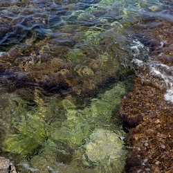 BAIA DEL CORALLO. Fotografie di Giulio Azzarello &copy;2022.