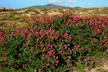 PAESAGGIO SICILIANO nel luogo delle macalube in Sicilia. Fotografie di Giulio Azzarello &copy;2014.