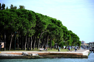 GIARDINI della BIENNALE a Venezia. Foto di Giulio Azzarello &copy;2015 2016.