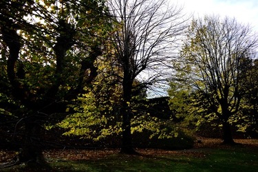 FIRENZE PALAZZO PITTI e GIARDINO DI BOBOLI. Fotografie di Giulio Azzarello &copy;2022.